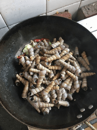 爆炒锥螺的做法4