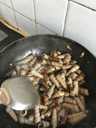 爆炒锥螺的做法9